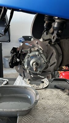 Polini Bremsscheibe und Bremszange SIP SERIES PORDOI hinten